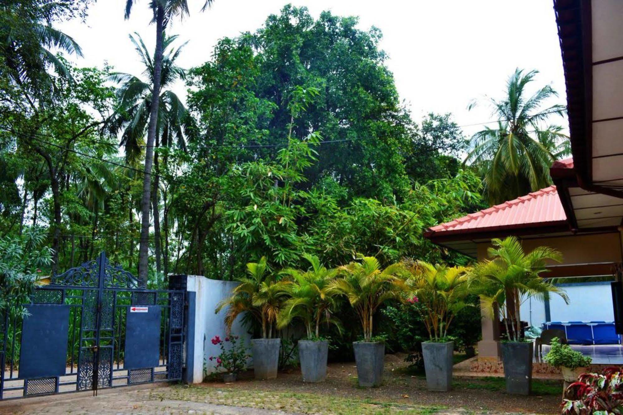 Dambulla City Hostel Luaran gambar